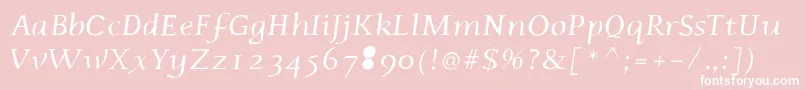 Phaedrusitalic Font – White Fonts on Pink Background