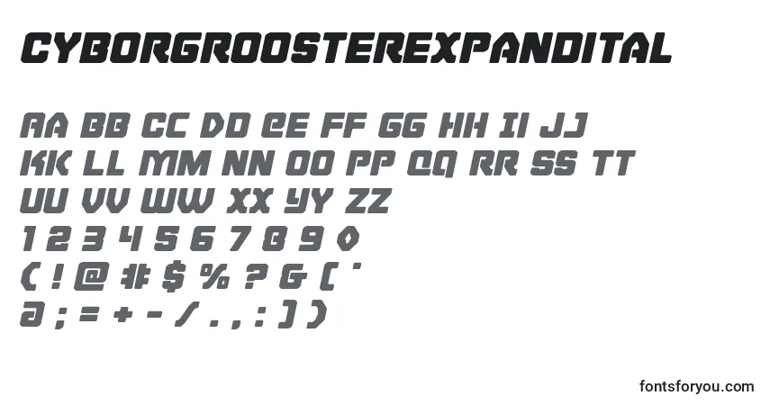 Шрифт Cyborgroosterexpandital – алфавит, цифры, специальные символы