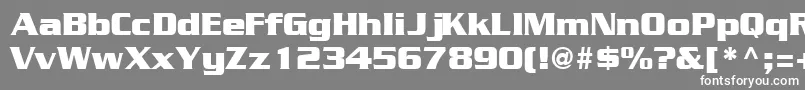 GeodetdisplaysskRegular Font – White Fonts on Gray Background