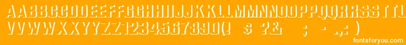 ReliefGroteskBold Font – White Fonts on Orange Background