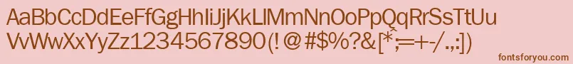 FranklingothicnewRegular Font – Brown Fonts on Pink Background