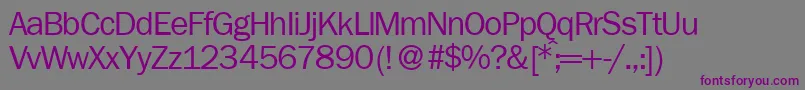 FranklingothicnewRegular Font – Purple Fonts on Gray Background