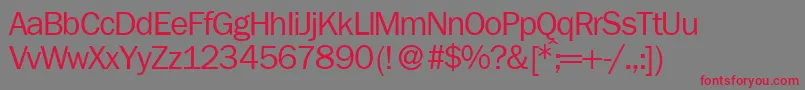 FranklingothicnewRegular Font – Red Fonts on Gray Background