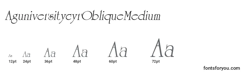AguniversitycyrObliqueMedium Font Sizes