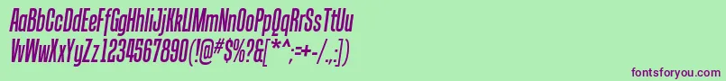 TandellergItalic Font – Purple Fonts on Green Background
