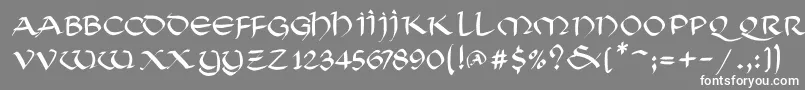 フォントSoluncialemkMedium – 灰色の背景に白い文字