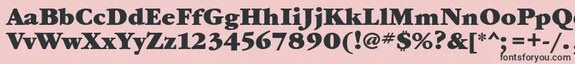 GaramondbookcBold Font – Black Fonts on Pink Background