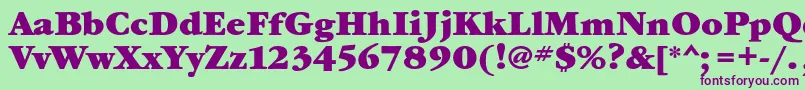 GaramondbookcBold Font – Purple Fonts on Green Background