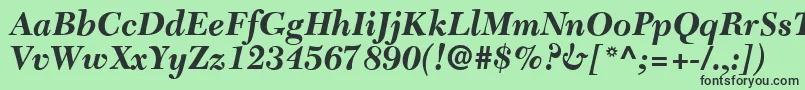 C651RomanBolditalic Font – Black Fonts on Green Background
