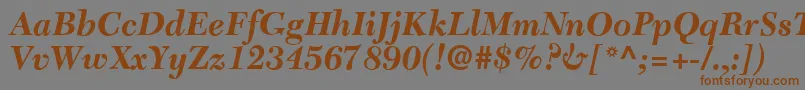 フォントC651RomanBolditalic – 茶色の文字が灰色の背景にあります。