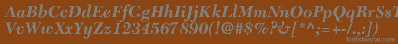 C651RomanBolditalic Font – Gray Fonts on Brown Background