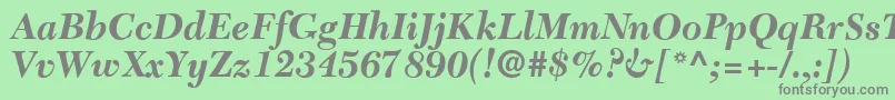 C651RomanBolditalic Font – Gray Fonts on Green Background