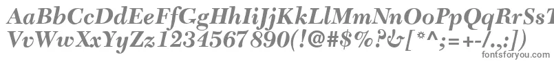 C651RomanBolditalic Font – Gray Fonts on White Background