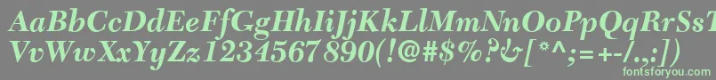 C651RomanBolditalic Font – Green Fonts on Gray Background