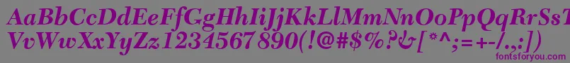 C651RomanBolditalic Font – Purple Fonts on Gray Background