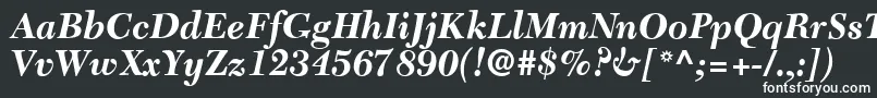 Шрифт C651RomanBolditalic – белые шрифты на чёрном фоне