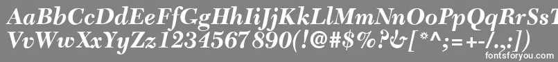 フォントC651RomanBolditalic – 灰色の背景に白い文字