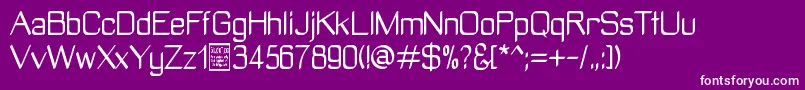 ManyetoDemo Font – White Fonts on Purple Background