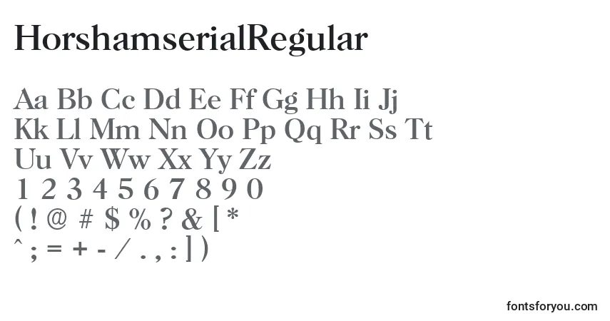 Шрифт HorshamserialRegular – алфавит, цифры, специальные символы