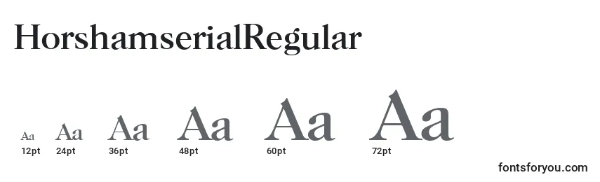 Размеры шрифта HorshamserialRegular