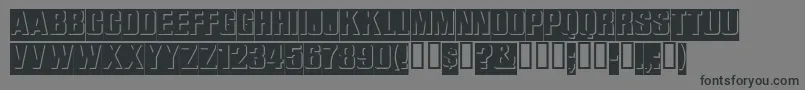 Reliefinreverse Font – Black Fonts on Gray Background