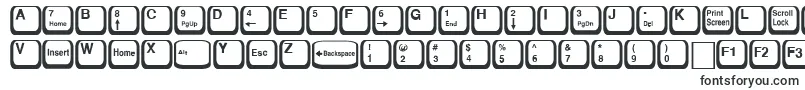 KeyRegular Font – Fonts for Adobe Reader