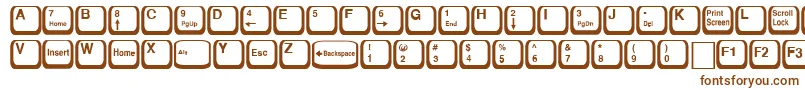 KeyRegular-fontti – ruskeat fontit valkoisella taustalla