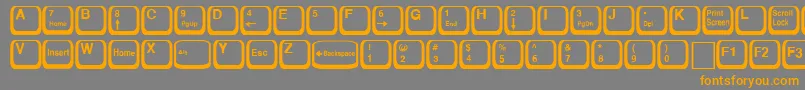 フォントKeyRegular – オレンジの文字は灰色の背景にあります。