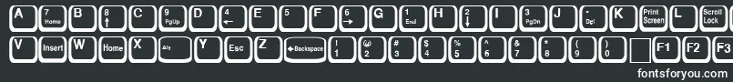 KeyRegular Font – White Fonts on Black Background