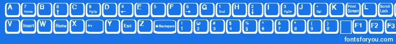 KeyRegular Font – White Fonts on Blue Background