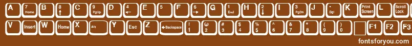 KeyRegular Font – White Fonts on Brown Background