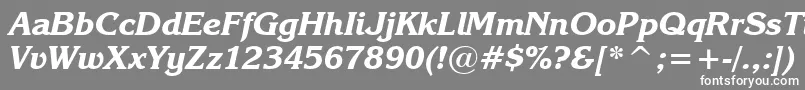 フォントEnchantedBoldItalic – 灰色の背景に白い文字