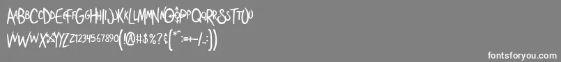Shoestor Font – White Fonts on Gray Background