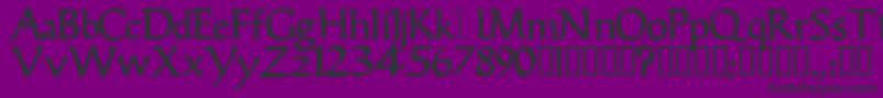 VicisskBold Font – Black Fonts on Purple Background