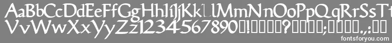 VicisskBold Font – White Fonts on Gray Background