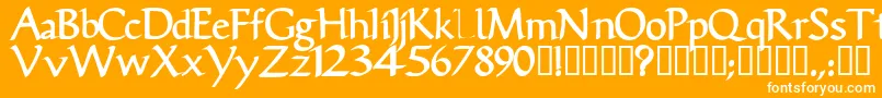 VicisskBold Font – White Fonts on Orange Background