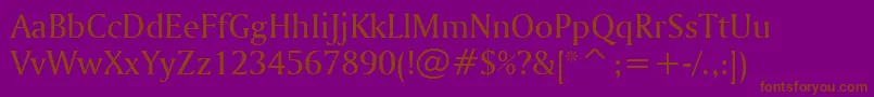 フォントAmerigoBt – 紫色の背景に茶色のフォント