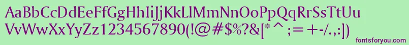 AmerigoBt Font – Purple Fonts on Green Background