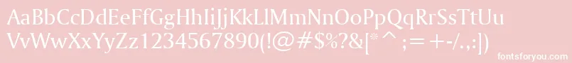 AmerigoBt Font – White Fonts on Pink Background