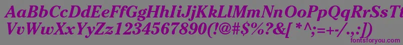 CheltenhamstdBolditalic Font – Purple Fonts on Gray Background