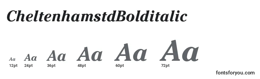 CheltenhamstdBolditalic Font Sizes