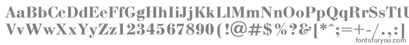Bodoni ffy-Schriftart – Graue Schriften auf weißem Hintergrund