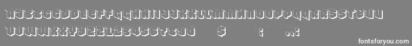 NowyGeroy4fShadow Font – White Fonts on Gray Background