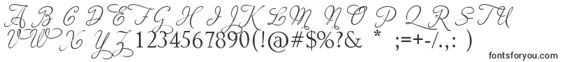 AdiosScriptCapsIii Font – Leaf Fonts