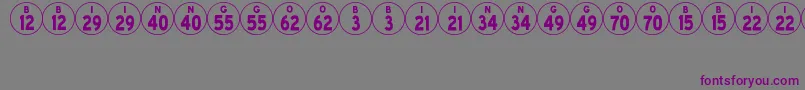 Czcionka BingoJl – fioletowe czcionki na szarym tle