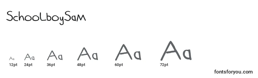 SchoolboySam Font Sizes