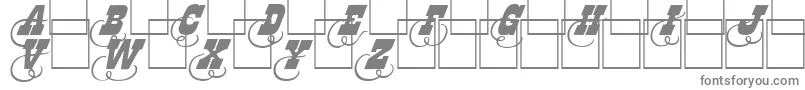 Dodgeini-Schriftart – Graue Schriften auf weißem Hintergrund