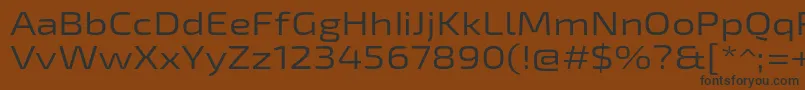 Exo2Regularexpanded Font – Black Fonts on Brown Background