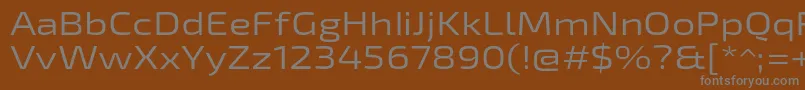 Exo2Regularexpanded Font – Gray Fonts on Brown Background