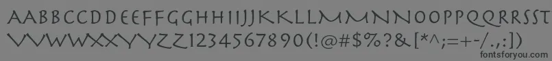 Herculanumltstd-Schriftart – Schwarze Schriften auf grauem Hintergrund